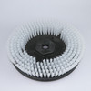 A Picture of product NSS-7697841 Champ 2417 Light Scrubbing General Purpose Polypropylene Brush. 12 in.