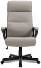 A Picture of product ALE-ON41B59 Alera® Oxnam Series High-Back Task Chair Supports Up to 275 lbs, 17.56" 21.38" Seat Height, Tan Seat/Back, Black Base