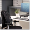 A Picture of product FEL-9191301 Fellowes® Office Suites™ Mesh Back Support 17.3 x 5.56 20.18, Black