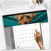 A Picture of product RED-C194116 Blueline® Pets Collection Monthly Desk Pad Puppies Photography, 22 x 17, Black Binding, Clear Corners, 12-Month (Jan to Dec): 2024