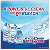 A Picture of product RAC-96084 LYSOL® Brand Toilet Bowl Cleaner with Hydrogen Peroxide Ocean Fresh, 24 oz, 2/Pack