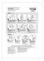 A Picture of product MMM-17068ES Command™ General Purpose Hooks Wire Medium, Metal, White, 3 lb Capacity, 2 and 4 Strips/Pack