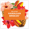 A Picture of product SJN-315181 Glade® Plugins Scented Oil Refill Plugin Hawaiian Breeze, 0.67 oz, 5/Pack