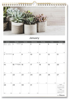 Blueline® 12-Month Wall Calendar Succulent Plants Photography, 12 x 17, White/Multicolor Sheets, (Jan to Dec): 2024