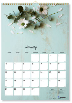 Blueline® Romantic Wall Calendar Floral Photography, 12 x 17, Multicolor/White Sheets, 12-Month (Jan to Dec): 2024