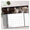 A Picture of product RED-C194115 Blueline® Pets Collection Monthly Desk Pad Furry Kittens Photography, 22 x 17, White Sheets, Black Binding, 12-Month (Jan-Dec): 2024