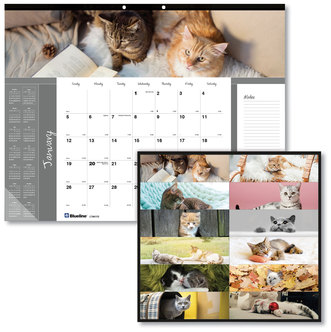 Blueline® Pets Collection Monthly Desk Pad Furry Kittens Photography, 22 x 17, White Sheets, Black Binding, 12-Month (Jan-Dec): 2024