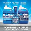 A Picture of product PGC-15260 Dawn® Professional Manual Pot & Pan Dish Detergent and with Pump, Original Scent, (1) (2) 1 gal Bottles/Carton