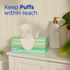 A Picture of product PGC-39346 Puffs® Plus Lotion™ Facial Tissue 2-Ply, White, 124 Sheets/Box, 24 Boxes/Carton