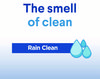 A Picture of product CLO-30197 Clorox® Clean-Up® Cleaner + Bleach 32 oz Spray Bottle, Rain Clean Scent, 9/Carton