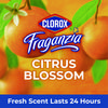 A Picture of product CLO-60615 Clorox® CloroxPro™ Fraganzia Multi-Purpose Cleaner Concentrate Citrus Blossom Scent, 175 oz Bottle, 3/Carton