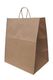 A Picture of product TDP-TKNEMSHDE Emporium Kraft Paper Bags with Natural Twisted-Paper Handles, 14 X 9.84 X 15.5 in. Natural color. 200 bags/carton.