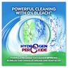 A Picture of product RAC-99828 LYSOL® Brand Bathroom Cleaner with Hydrogen Peroxide Cool Spring Breeze, 32 oz Trigger Spray Bottle, 12/Carton
