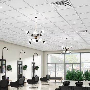 Armstrong Ceilings DUNE Mineral Fiber Drop Ceiling Tiles. 24 X 24 X 5/8 in. White. 16/pack, 64 sq. ft./case.