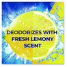 A Picture of product DIA-07224 Soft Scrub® All Purpose Cleanser. 24 oz. Lemon scent. 8 bottles/case.
